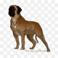 斗牛犬古代犬种野牛犬