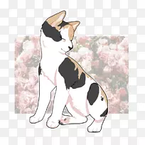 胡须小猫狗毛小猫