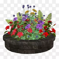 花卉设计花盆开花植物一年生植物.设计