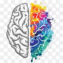 人的大脑创造力你的创造性大脑功能的侧化-大脑
