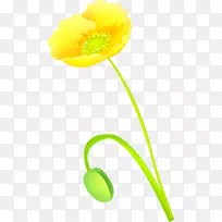 开花植物茎设计