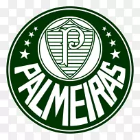 Sociedade Esportiva Palmeiras Campeonato Brasileiro série-足球标志