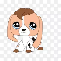 小比格犬繁殖伴犬-小狗