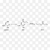 大蒜素蒜氨酸酶二烯丙基二硫大蒜-大蒜素