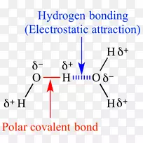 化学极性有机化学分子共价键化学极性