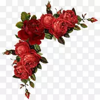 花卉设计玫瑰红色剪贴画-花