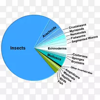 饼图昆虫生物学物种多样性显微镜下的细菌