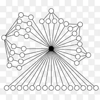 信息圈数据库角-八面体对称