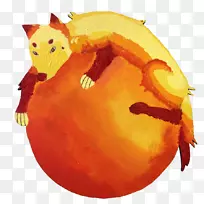 杰克-欧-灯笼葫芦猫南瓜猫
