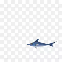 海豚鲨海洋生物动物-海豚