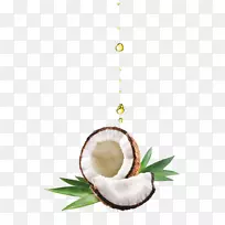 椰子油橄榄油乳液-椰子