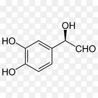 肾上腺素神经递质激素多巴胺化学-曼德拉