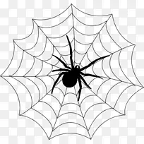 蜘蛛网印刷贴花蜘蛛