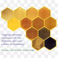 蜜蜂蜂巢字体