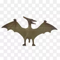 蝙蝠-m-古代动物