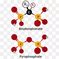 双膦酸伊班膦酸焦磷酸药物骨质疏松症-药物