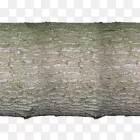 木鸭树/米/083 vt树皮-木材