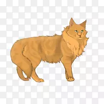 勇士队进入野猫森林的秘密火猫