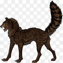 猫战士超级版：虎心影鸽翅猫