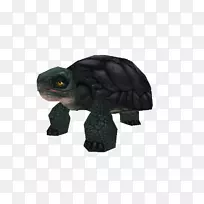 乌龟雕像