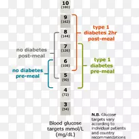 血糖1型糖尿病血糖计糖尿病管理监测1型糖尿病