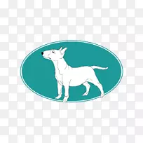 犬种小狗杰克罗素猎犬