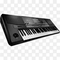 Korg pa-600键盘Korg pa 300乐器.键盘