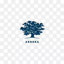 Ashoka：公共组织的创新者，创业创新，非营利性组织-Ashoka