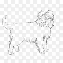 犬种胡须猫爪猫