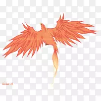 凤凰城纹身羽毛-凤凰翅膀