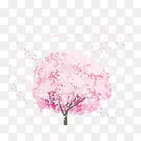 樱花花吹雪-樱花