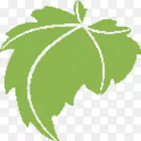 葡萄叶植物茎线剪贴画