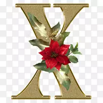 字母花卉设计字母表花缩略图
