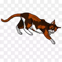 胡须，小猫，猫武士，红尾猫