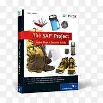 sap项目：不仅仅是生存指南，生存的sap审计项目管理项目组-西部之旅在线ii