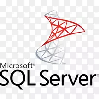 Microsoft sql server计算机服务器数据库-microsoft