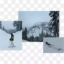 滑雪装订滑雪旅行滑雪杆滑雪雪橇冬季