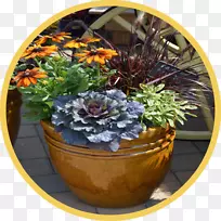 乡村花园棚花盆陶瓷容器花园
