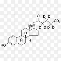 雌二醇雌激素甾体脱氧胆酸脱氢表雄酮新绿原酸