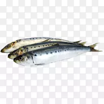 沙丁鱼油鱼ω-3脂肪酸鱼油极低卡路里饮食