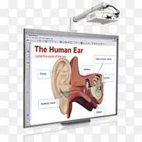 交互式白板多媒体投影机计算机软件智能技术交互式白板