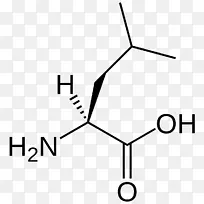 异亮氨酸支链氨基酸必需氨基酸