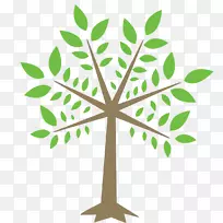阿吉拉尔植物护理企业乔木学家韦顿普卡树健康