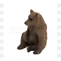 灰熊阿拉斯加半岛棕熊