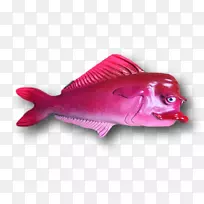北红鱼-粉红鱼