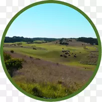 莫宁顿半岛郡国际高尔夫专家高尔夫巡回赛和草地套餐
