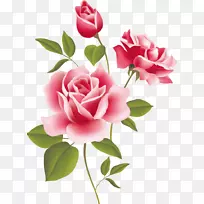 静物：粉红玫瑰桌面壁纸夹艺术玫瑰
