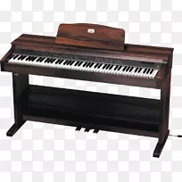 数字钢琴，电动钢琴，电子键盘，琵琶演奏者，钢琴.数字钢琴