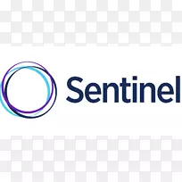 Sentinelone端点安全业务徽标计算机网络业务