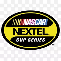 2007 NASCAR Nextel杯系列2004 NASCAR Nextel杯系列2016 NASCAR冲刺杯系列Daytona 500 2008 NASCAR冲刺杯系列-NASCAR